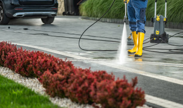 Best Roof Washing  in Velva, ND