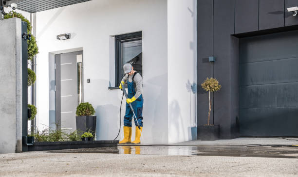 Best Fleet Vehicle Washing  in Velva, ND